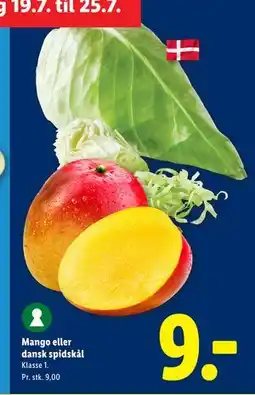 Lidl Mango eller dansk spidskål tilbud