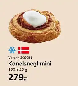 Dagrofa Food Service Kanelsnegl mini tilbud
