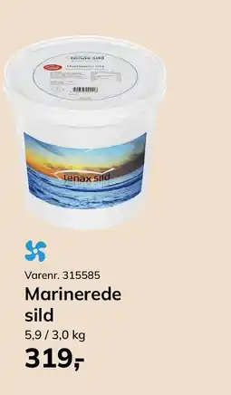 Dagrofa Food Service Marinerede sild tilbud
