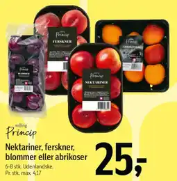 Føtex Nektariner, ferskner, blommer eller abrikoser tilbud
