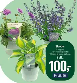 Føtex Stauder tilbud