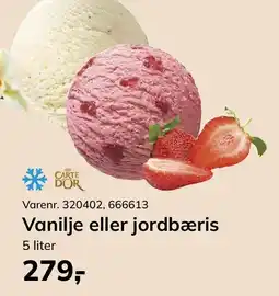 Dagrofa Food Service Vanilje eller jordbæris tilbud
