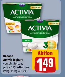 REWE DE Danone Activia Joghurt tilbud