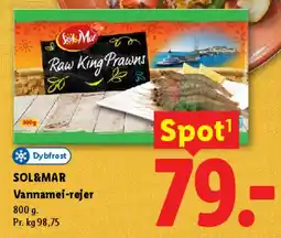 Lidl Vannamei-rejer (Raw King Prawns) tilbud