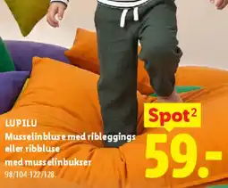 Lidl Musselinbluse / ribbluse med bukser tilbud