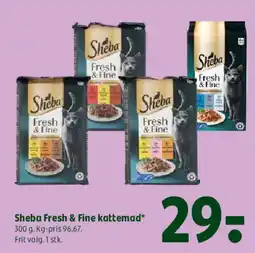 Coop 365 Sheba Fresh & Fine kattemad tilbud