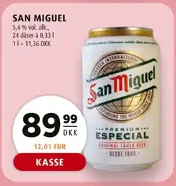 Scandinavian Park San Miguel tilbud