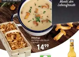 Citti Pfifferlinge tilbud