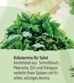 Citti Kräutermix für Salat tilbud