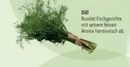Citti Dill tilbud