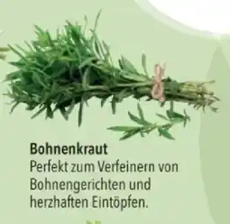 Citti Bohnenkraut tilbud