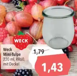 Citti Weck Mini-Tulpe tilbud