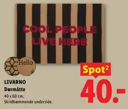 Lidl LIVARNO Dørmåtte tilbud