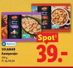 Lidl SOL&MAR Kæmperejer tilbud