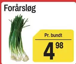 ABC Lavpris Forårsløg tilbud