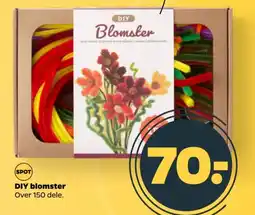 Netto DIY blomster tilbud