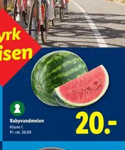 Lidl Babyvandmelon tilbud
