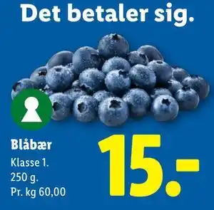 Lidl Blåbær tilbud