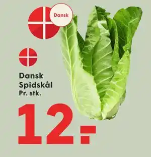 SPAR Dansk Spidskål tilbud
