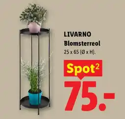 Lidl LIVARNO Blomsterreol tilbud