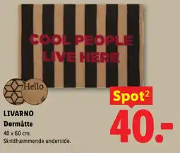 Lidl LIVARNO Dørmåtte tilbud