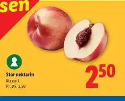 Lidl Stor nektarin tilbud