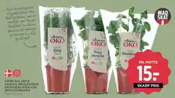 MENY Grøn Balance - Danske økologiske krydderurter (potte) tilbud