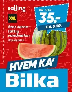 Bilka Stor kernefattig vandmelon tilbud