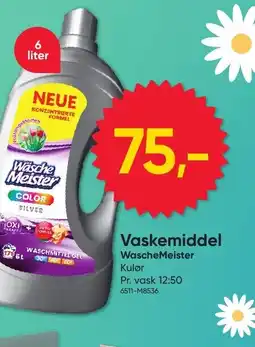 BigDollar Vaskemiddel WascheMeister Kulør tilbud