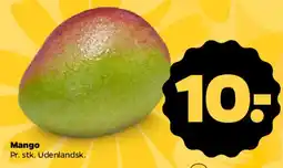 Netto Mango tilbud