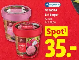 Lidl Is i bæger / Sorbet (473 ml) tilbud
