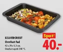 Lidl Ovnfast fad tilbud