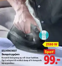 Lidl Dampstrygejern tilbud