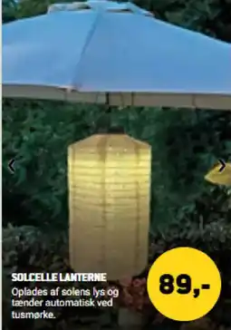 XL-BYG Solcelle Lanterne tilbud