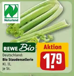 REWE DE Bio Staudensellerie tilbud