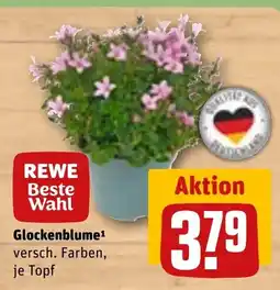 REWE DE Glockenblume tilbud