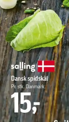 Føtex Dansk spidskål tilbud