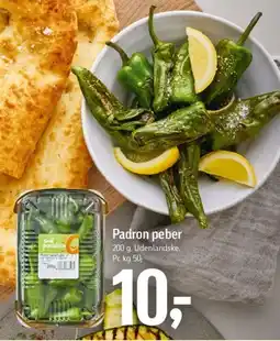 Føtex Padron peber tilbud