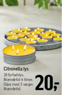 Føtex Citronella lys tilbud