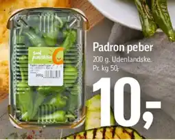 Føtex Padron peber (pakket) tilbud