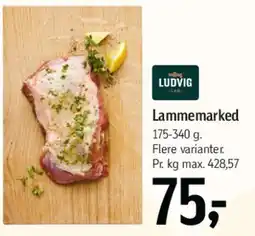 Føtex Lammemarked tilbud
