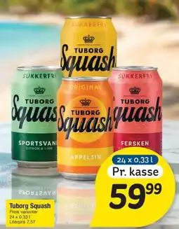 Fakta Tyskland Tuborg Squash - dåser tilbud