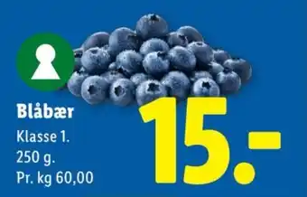 Lidl Blåbær tilbud