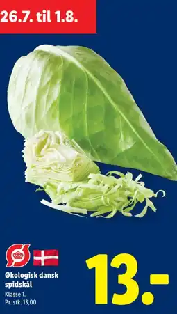 Lidl Økologisk dansk spidskål tilbud