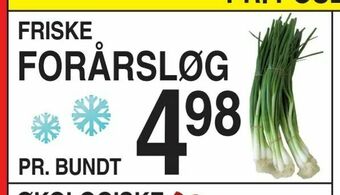 ABC Lavpris Friske Forårsløg tilbud