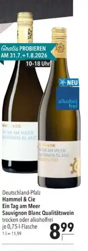 Citti Deutschland-Pfalz Hammel & Cie Ein Tag am Meer Sauvignon Blanc Qualitätswein tilbud