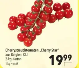 Citti Cherrystrauchtomaten Cherry Star tilbud