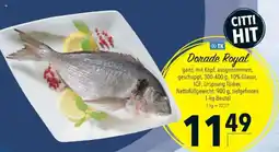 Citti Dorade Royal tilbud
