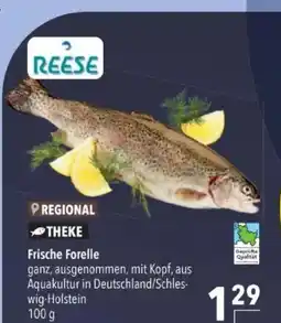 Citti Regional theke frische forelle tilbud