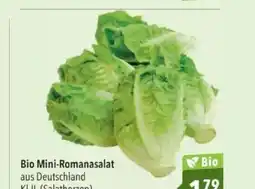 Citti Bio Mini-Romanasalat aus Deutschland tilbud